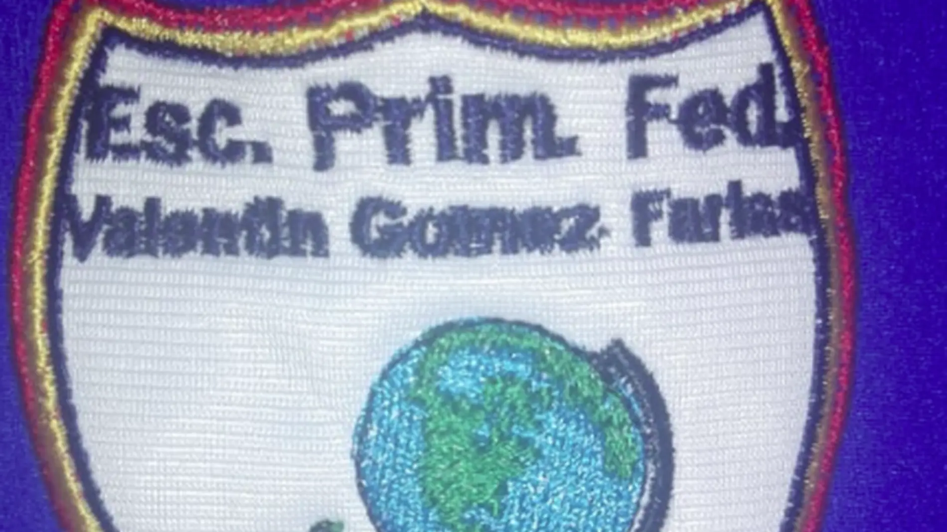 primaria valentin gomez farias